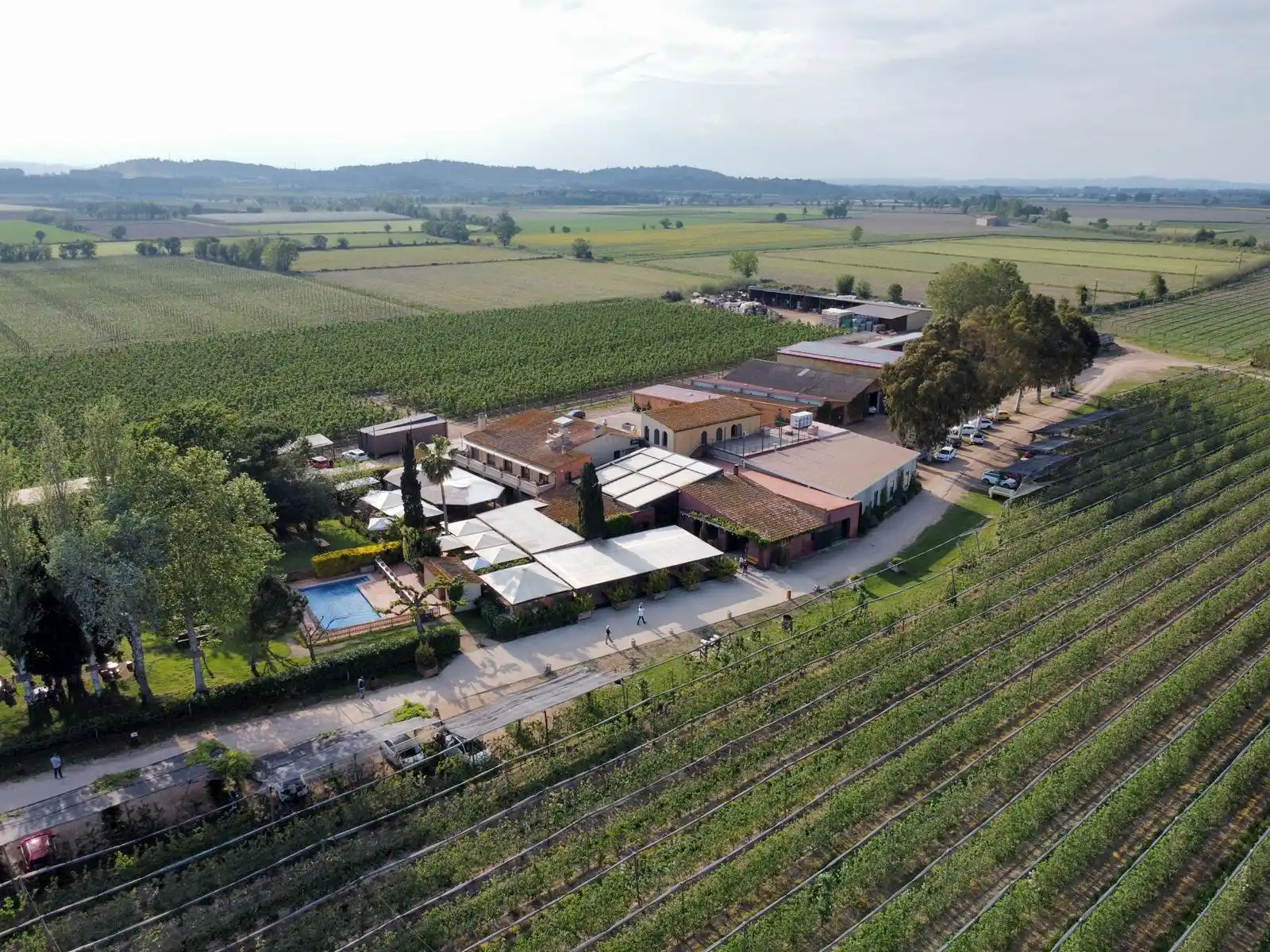 Mooma Sidreria — photo from their website