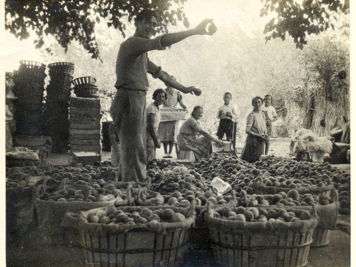 Generation after generation, the Mooma family has cultivated the land with dedication and love for apples, keeping alive an agricultural legacy that today continues to transform into products and experiences with their own identity.