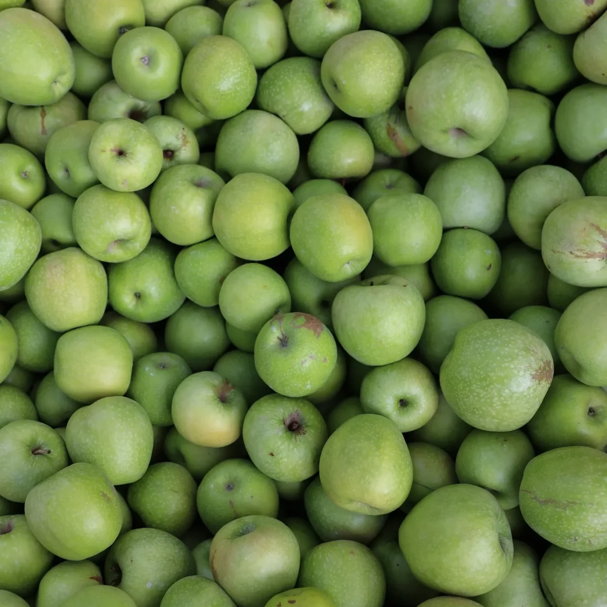 Descobreix receptes amb poma plenes de sabor i creativitat: des de plats tradicionals fins a propostes sorprenents per gaudir d’un dels fruits més emblemàtics de l’Empordà.